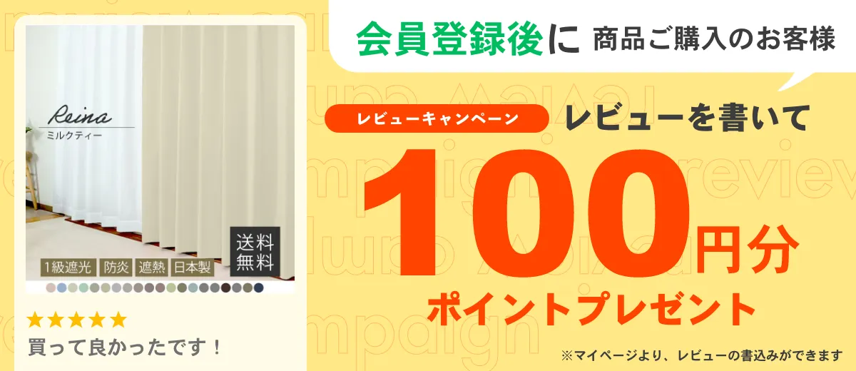 レビュー100ポイント